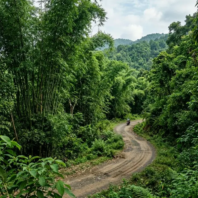 Maredumilli